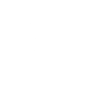 Tie